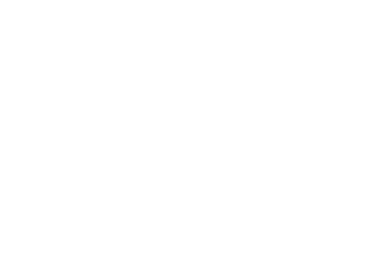 ННЗ Форт